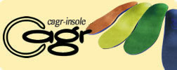 高機能インソール